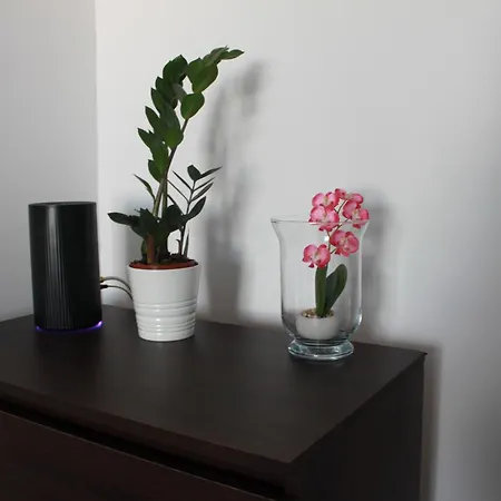 Kalwaria Piekary Appartement *