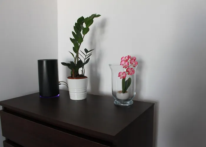 Kalwaria Piekary 아파트 *